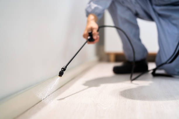 Certified termite inspector examining foundation in Haddon Heights