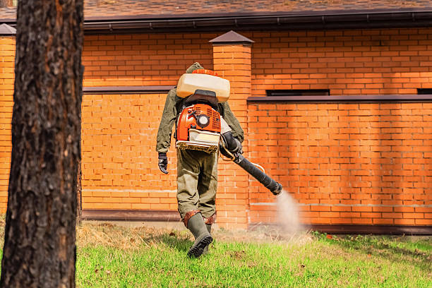 Bed Bug Clearance Verification and Documentation in Haddon Heights